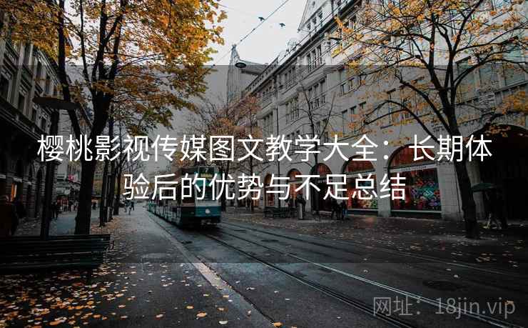 樱桃影视传媒图文教学大全：长期体验后的优势与不足总结