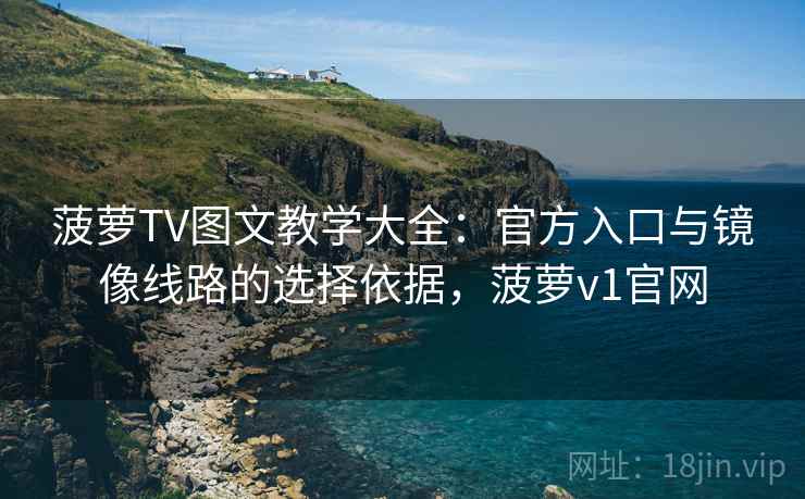 菠萝TV图文教学大全：官方入口与镜像线路的选择依据，菠萝v1官网
