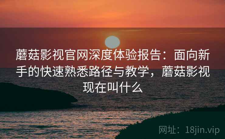 蘑菇影视官网深度体验报告：面向新手的快速熟悉路径与教学，蘑菇影视现在叫什么