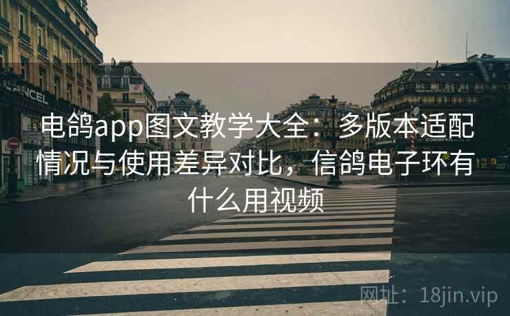 电鸽app图文教学大全：多版本适配情况与使用差异对比，信鸽电子环有什么用视频