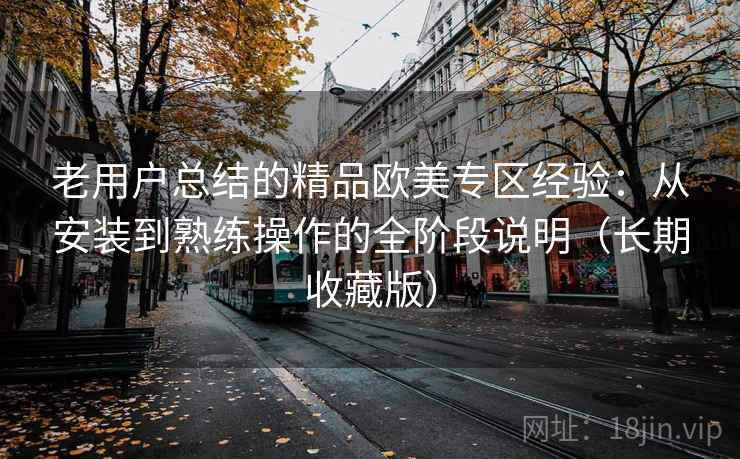 老用户总结的精品欧美专区经验：从安装到熟练操作的全阶段说明（长期收藏版）
