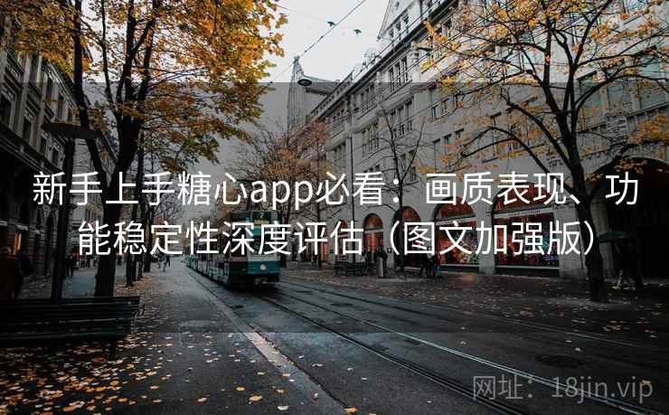 新手上手糖心app必看：画质表现、功能稳定性深度评估（图文加强版）