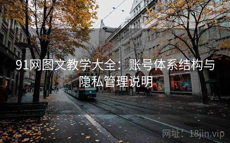 91网图文教学大全：账号体系结构与隐私管理说明