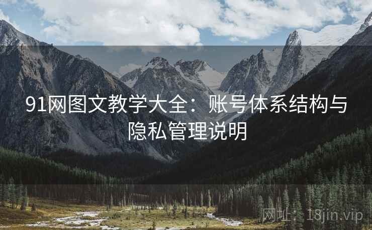 91网图文教学大全：账号体系结构与隐私管理说明