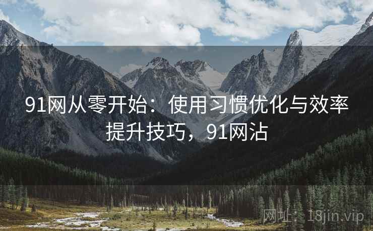 91网从零开始：使用习惯优化与效率提升技巧，91网沾