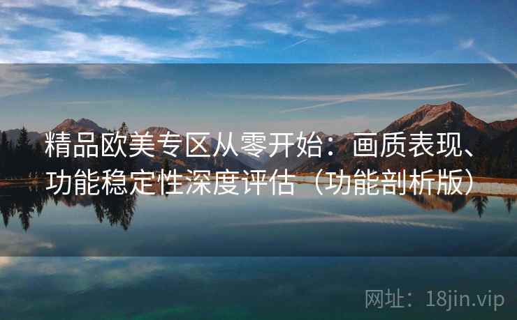 精品欧美专区从零开始：画质表现、功能稳定性深度评估（功能剖析版）