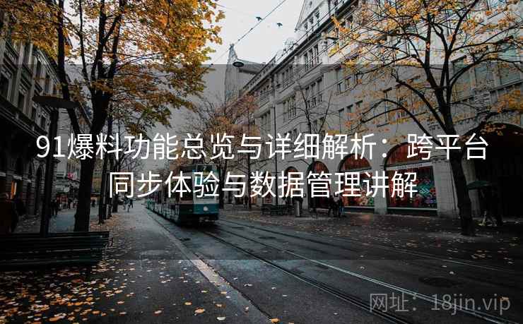 91爆料功能总览与详细解析：跨平台同步体验与数据管理讲解