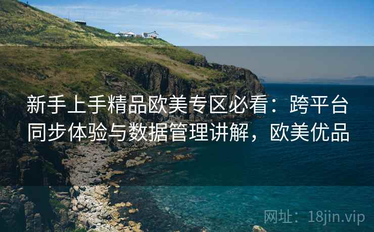 新手上手精品欧美专区必看：跨平台同步体验与数据管理讲解，欧美优品