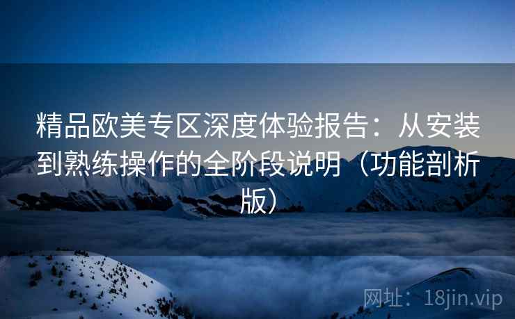 精品欧美专区深度体验报告：从安装到熟练操作的全阶段说明（功能剖析版）