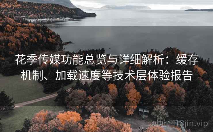 花季传媒功能总览与详细解析：缓存机制、加载速度等技术层体验报告