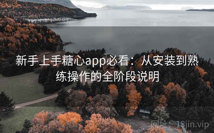 新手上手糖心app必看：从安装到熟练操作的全阶段说明