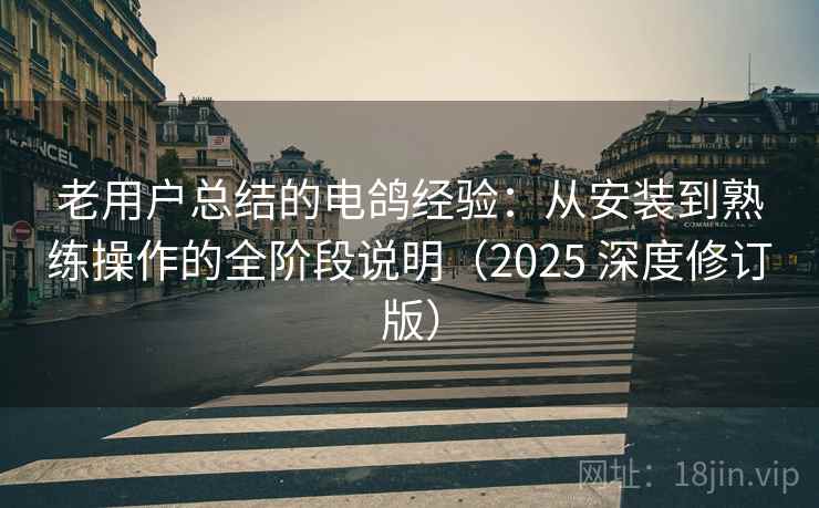 老用户总结的电鸽经验：从安装到熟练操作的全阶段说明（2025 深度修订版）