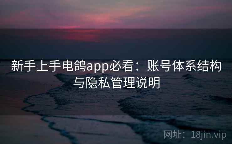 新手上手电鸽app必看：账号体系结构与隐私管理说明