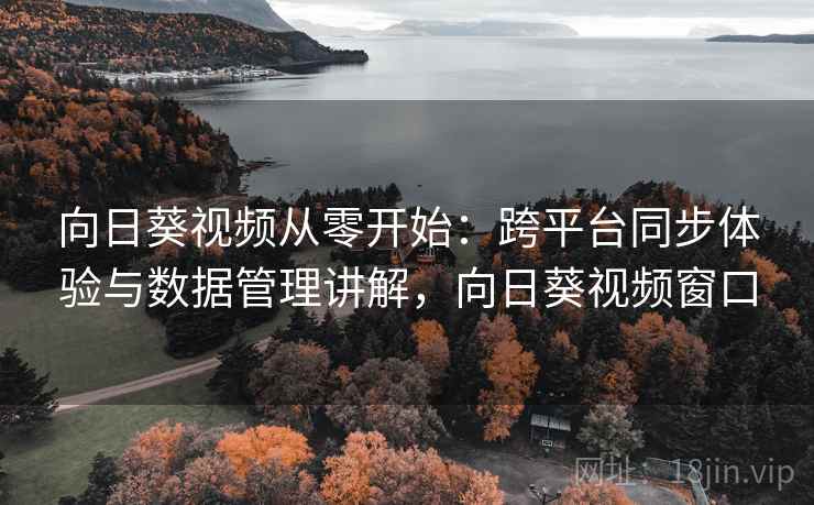 向日葵视频从零开始：跨平台同步体验与数据管理讲解，向日葵视频窗口
