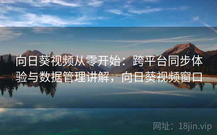 向日葵视频从零开始：跨平台同步体验与数据管理讲解，向日葵视频窗口