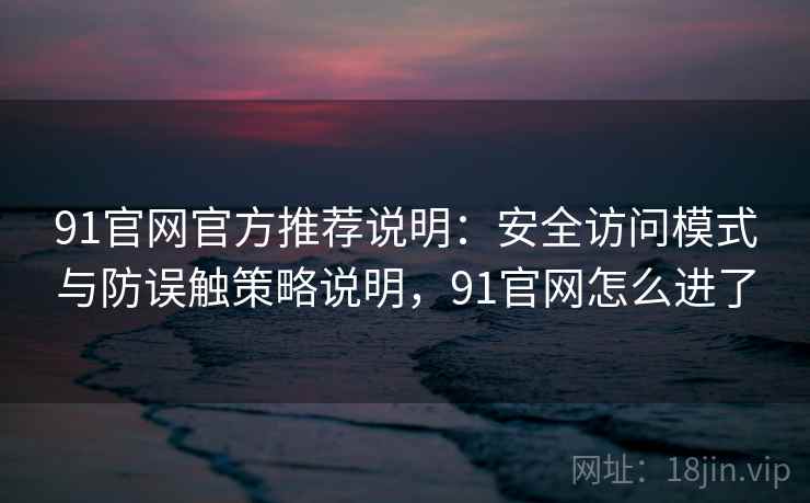 91官网官方推荐说明：安全访问模式与防误触策略说明，91官网怎么进了