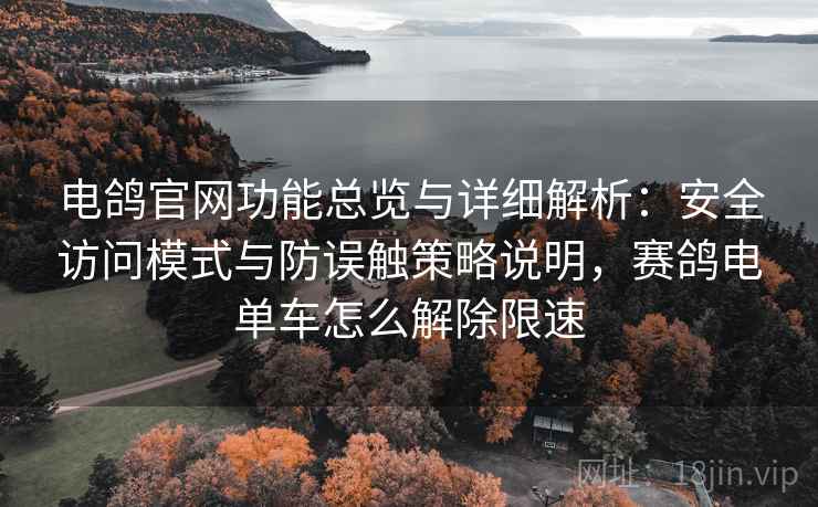 电鸽官网功能总览与详细解析：安全访问模式与防误触策略说明，赛鸽电单车怎么解除限速