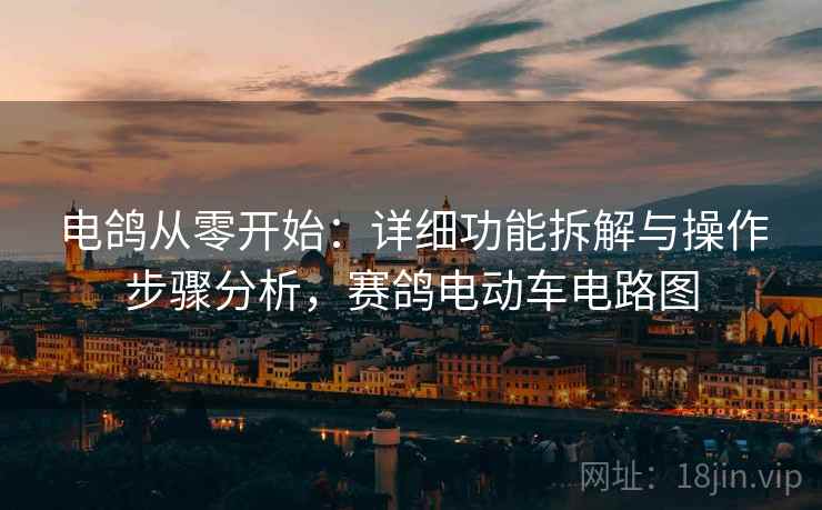 电鸽从零开始：详细功能拆解与操作步骤分析，赛鸽电动车电路图