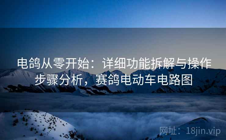 电鸽从零开始：详细功能拆解与操作步骤分析，赛鸽电动车电路图
