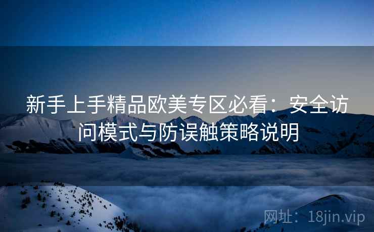 新手上手精品欧美专区必看：安全访问模式与防误触策略说明