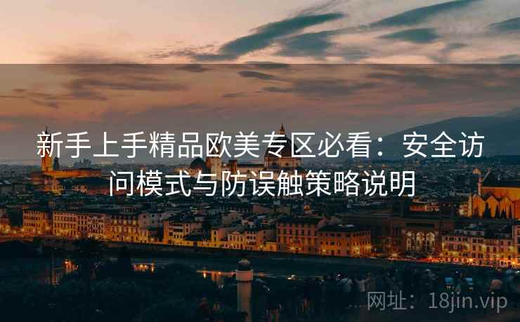 新手上手精品欧美专区必看：安全访问模式与防误触策略说明