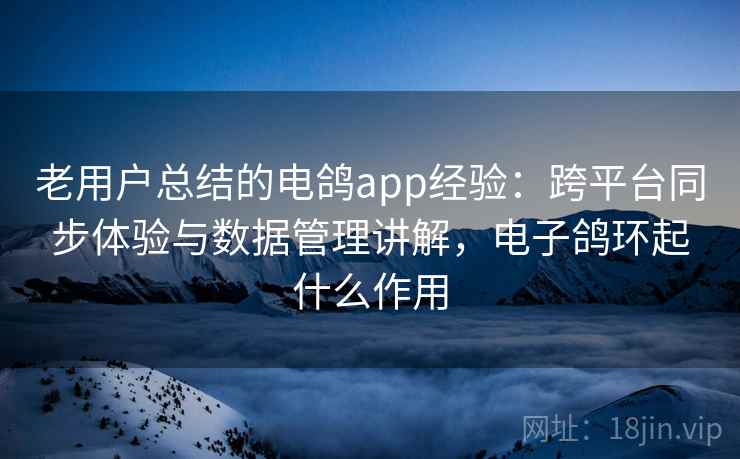 老用户总结的电鸽app经验：跨平台同步体验与数据管理讲解，电子鸽环起什么作用
