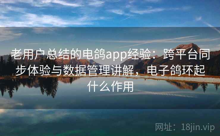 老用户总结的电鸽app经验：跨平台同步体验与数据管理讲解，电子鸽环起什么作用